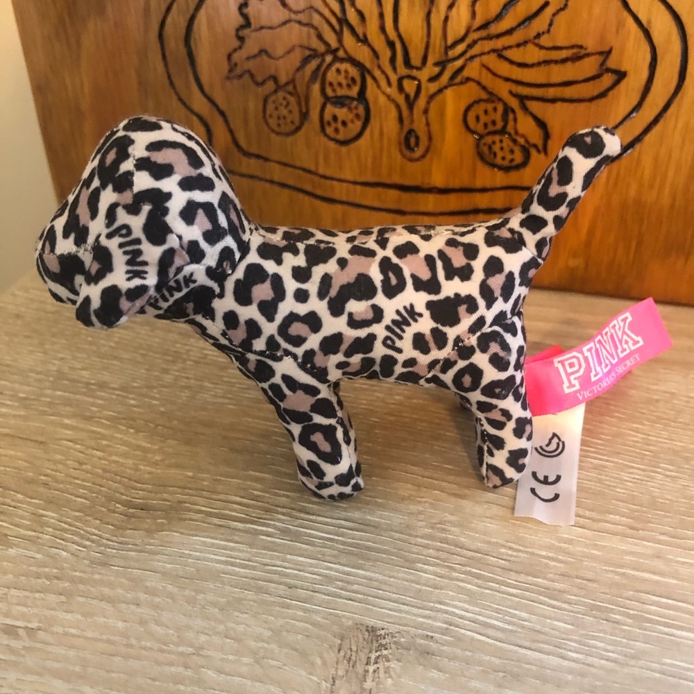 Vs mini dog